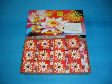 10元蓮花產品圖